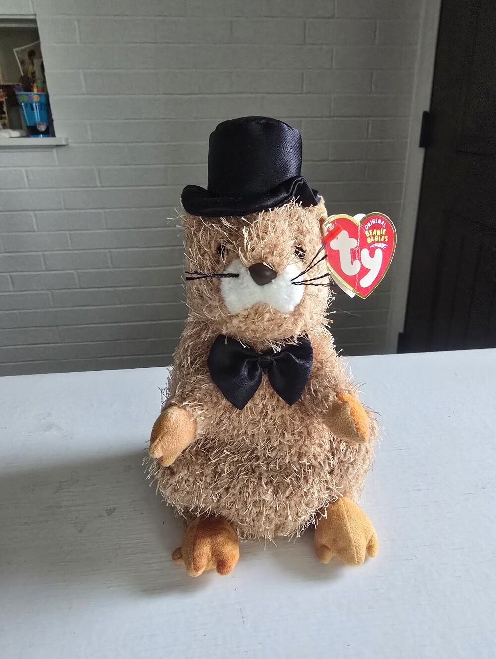 Ty Beanie Baby Punxsutawney Phil 2004